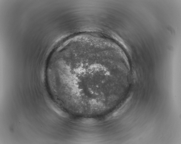 X0000112380203200909031959