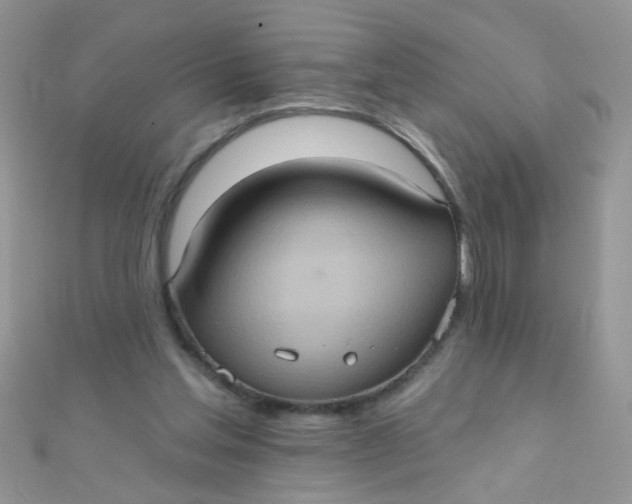 X0000112380205200909031959