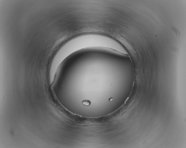 X0000112380207200909031959