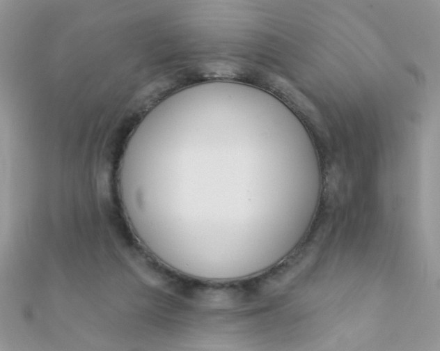 X0000112380209200909031959