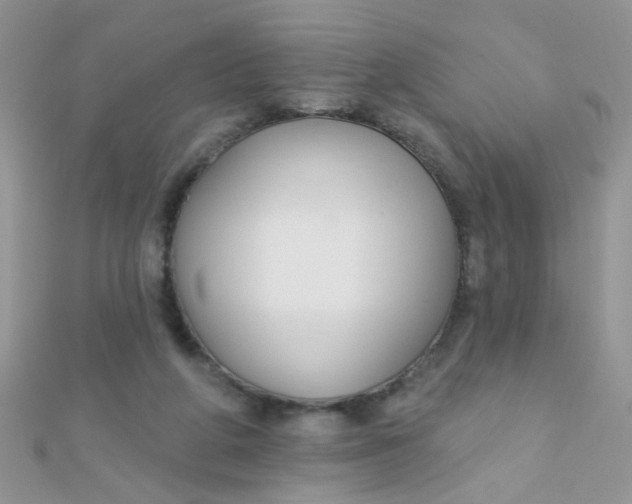 X0000112380210200909031959