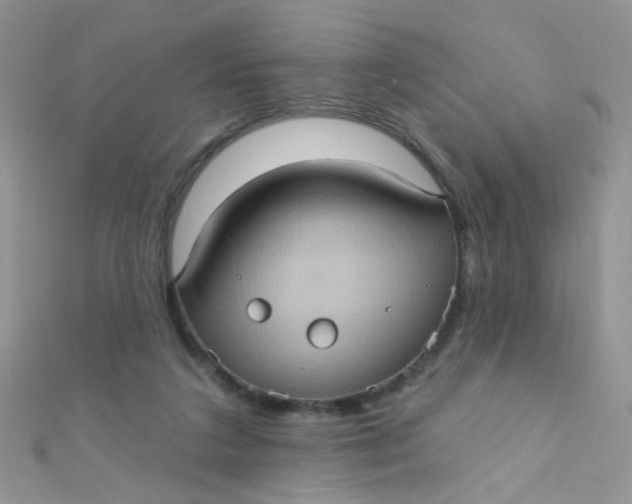 X0000112380211200909031959