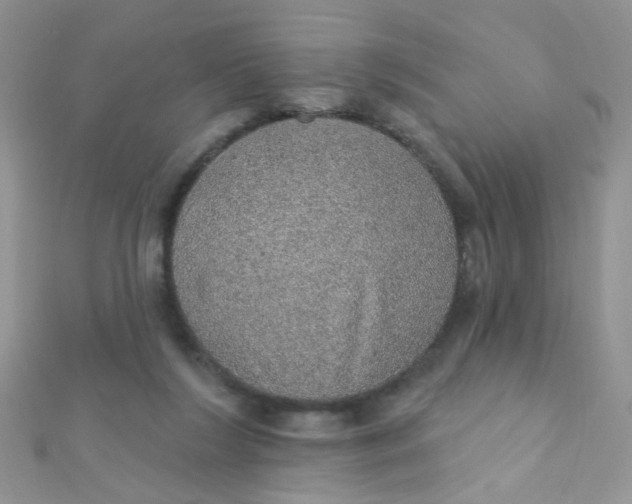 X0000112380212200909031959