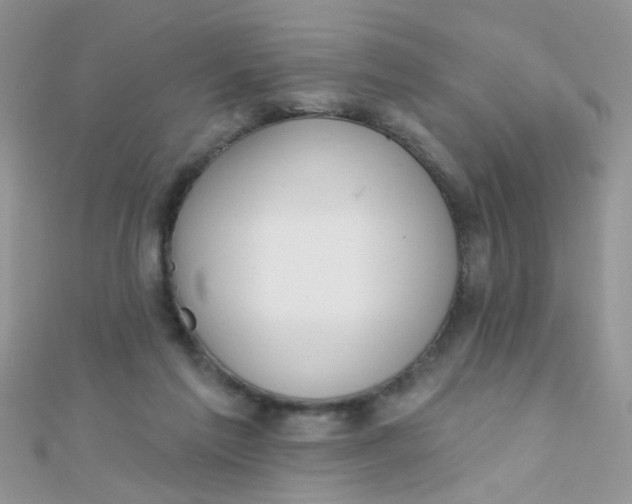 X0000112380213200909031959