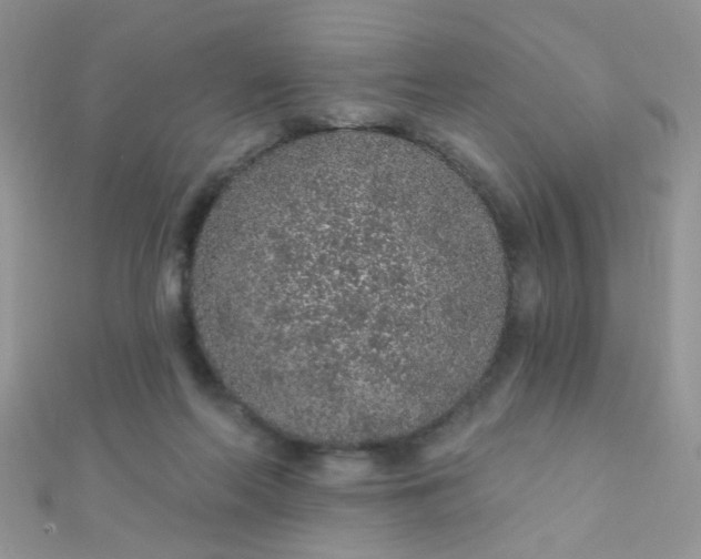 X0000112380214200909031959