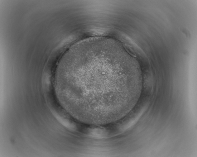 X0000112380215200909031959