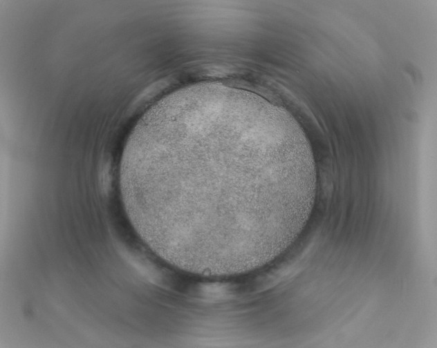 X0000112380216200909031959