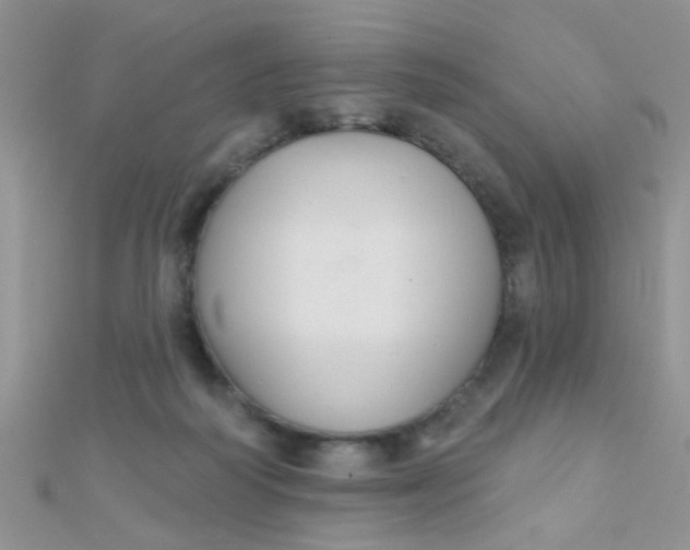 X0000112380218200909031959