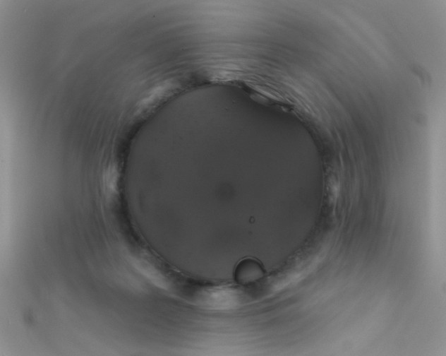 X0000112380219200909031959