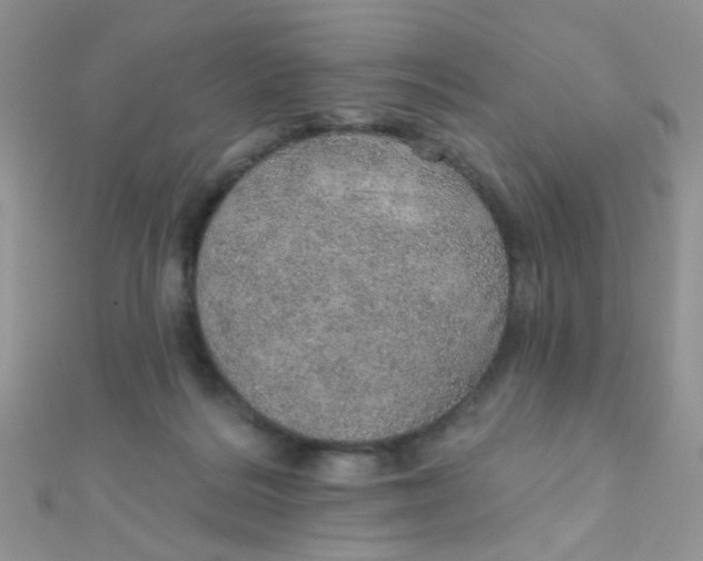 X0000112380220200909031959