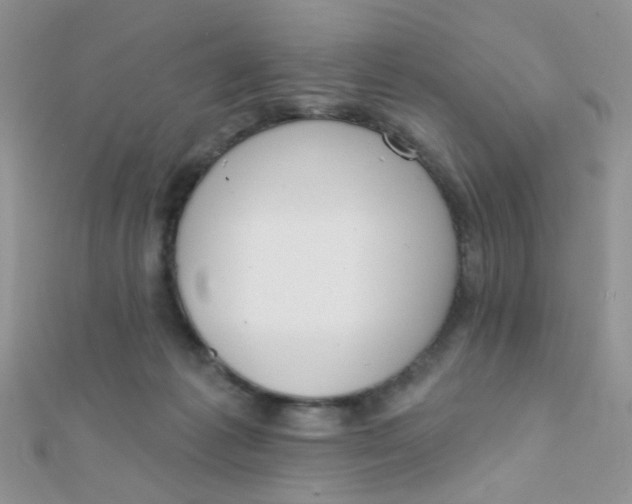 X0000112380221200909031959