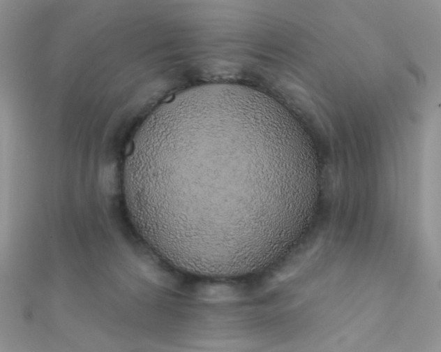 X0000112380224200909031959