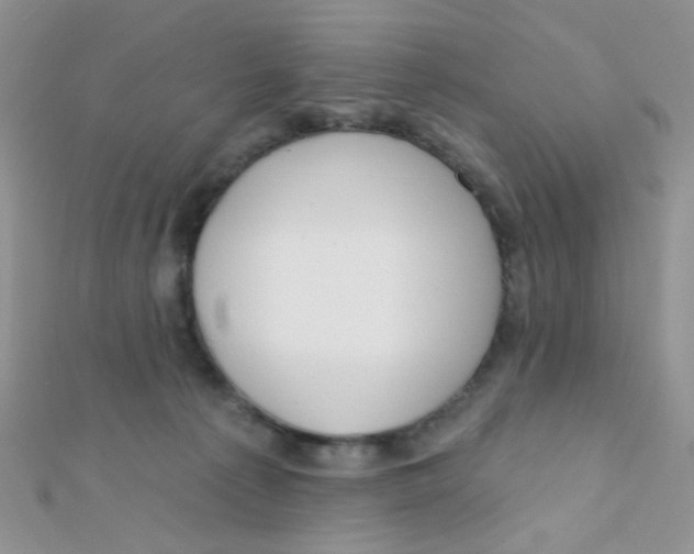 X0000112380225200909031959