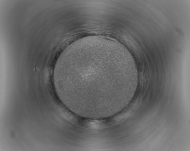 X0000112380229200909031959