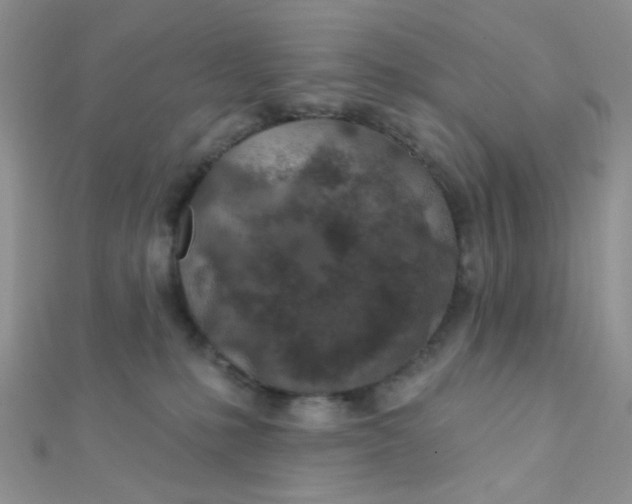 X0000112380231200909031959