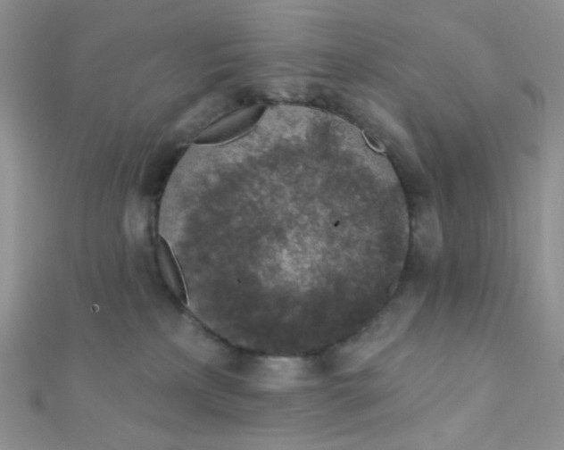 X0000112380233200909031959