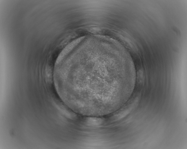 X0000112380234200909031959