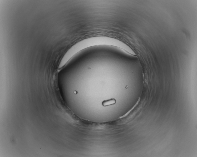 X0000112380235200909031959