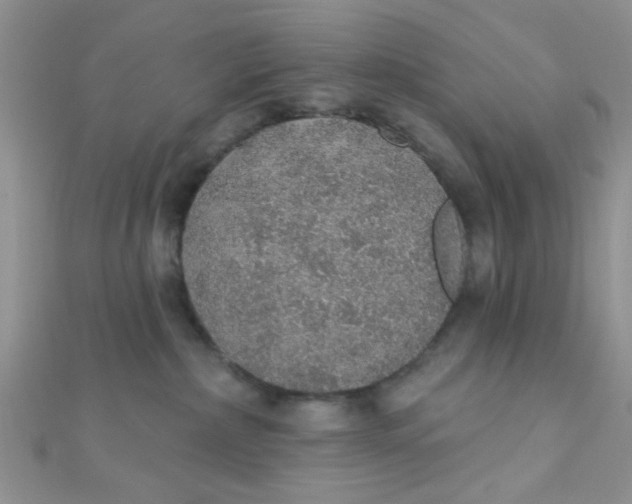 X0000112380236200909031959