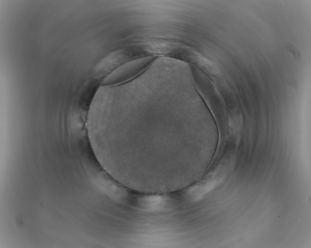 X0000112380237200909031959