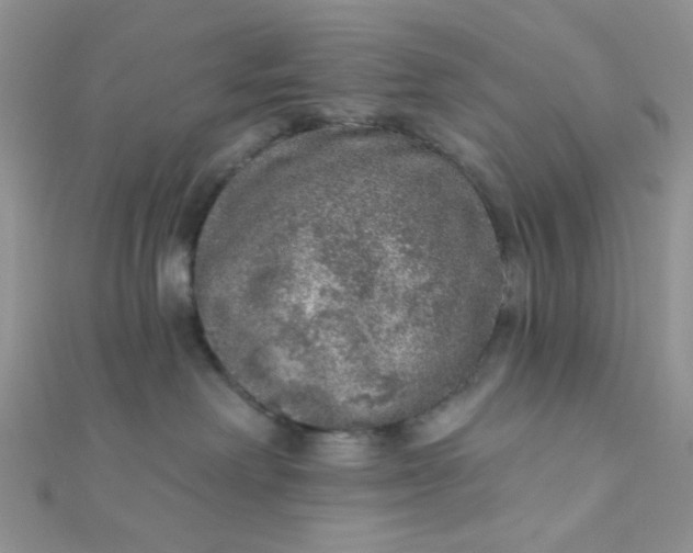 X0000112380238200909031959