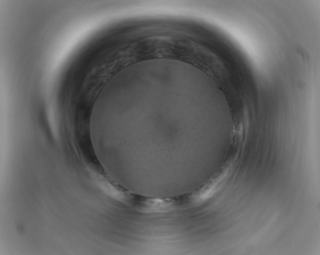 X0000112380239200909031959