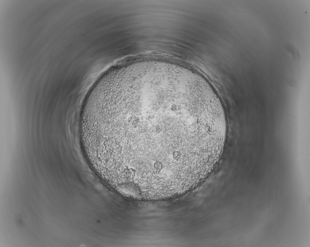 X0000112380241200909031958