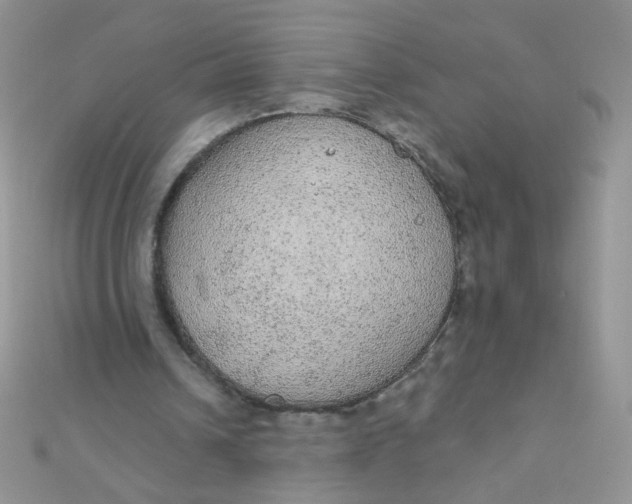 X0000112380242200909031958