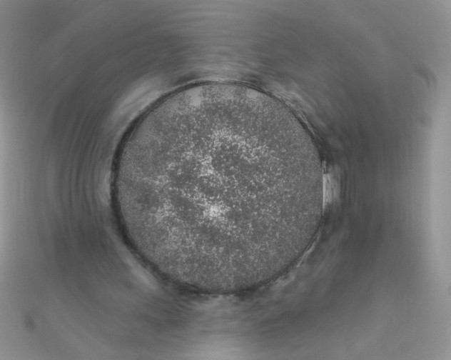 X0000112380243200909031958