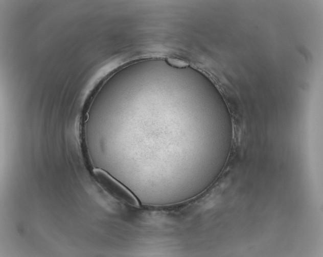 X0000112380244200909031958