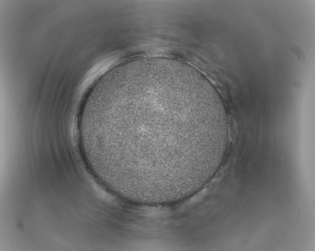 X0000112380245200909031958