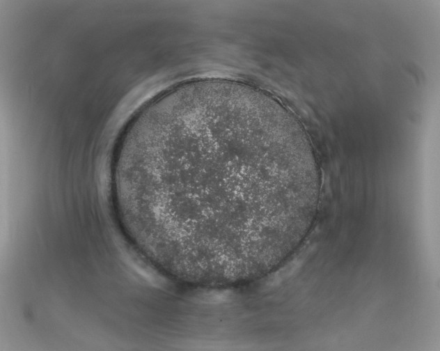 X0000112380247200909031958