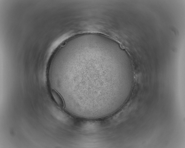 X0000112380248200909031958