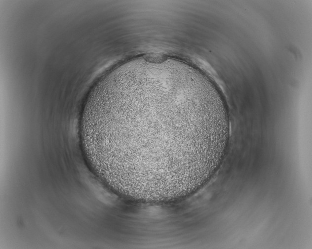 X0000112380249200909031958