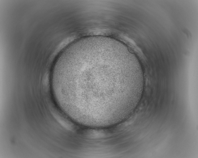 X0000112380250200909031958