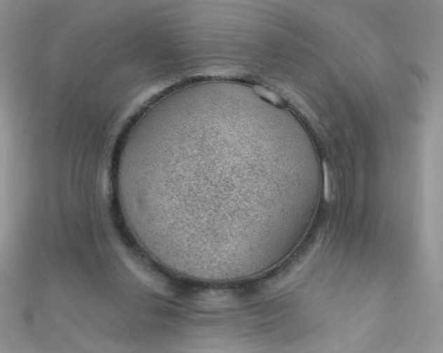 X0000112380252200909031958