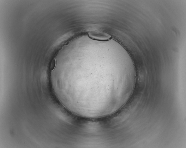 X0000112380256200909031958