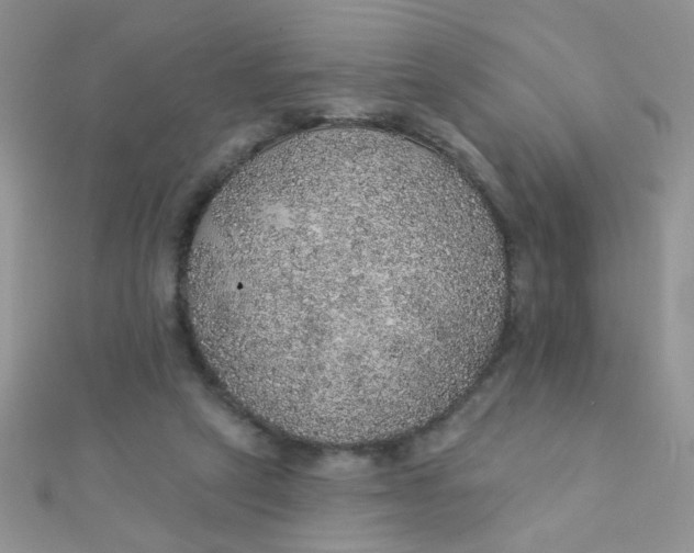 X0000112380257200909031958