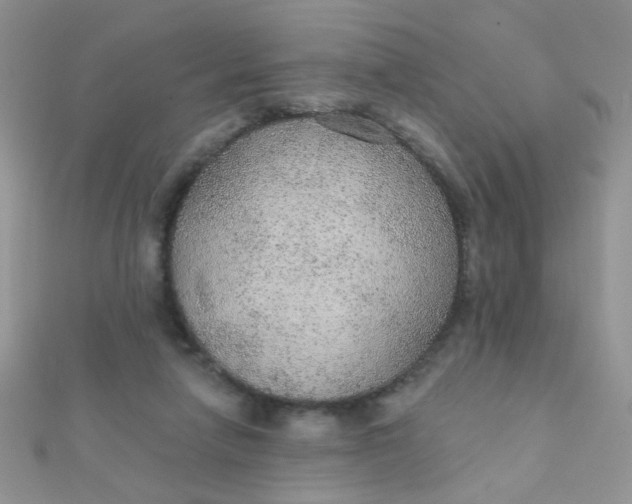 X0000112380258200909031958