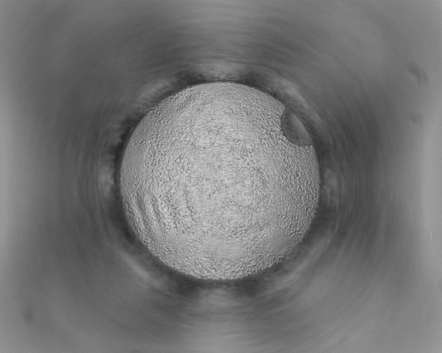 X0000112380259200909031958