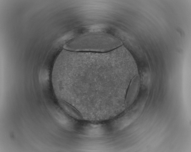 X0000112380260200909031958