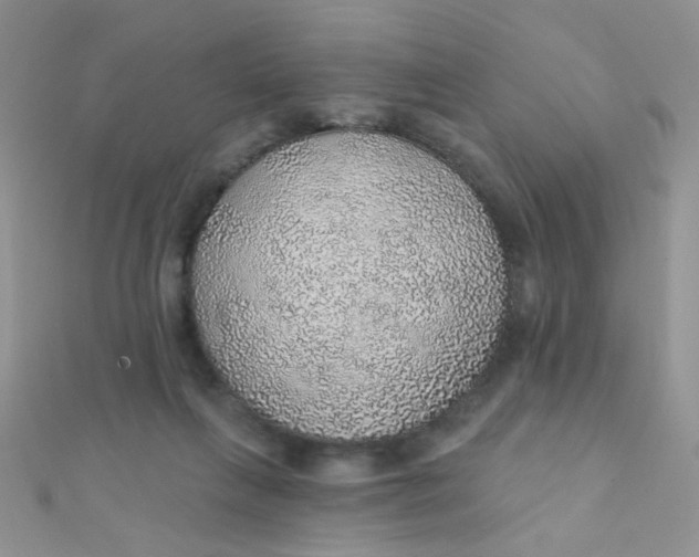 X0000112380263200909031959