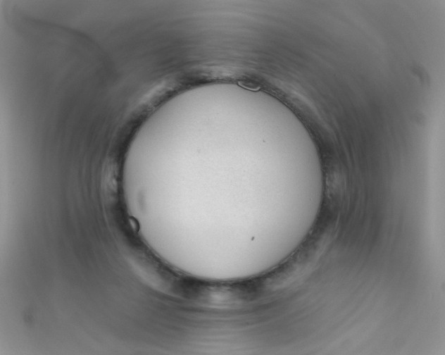 X0000112380264200909031959