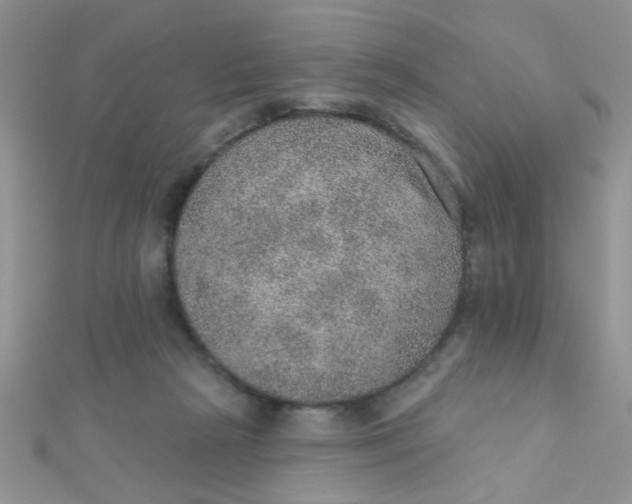 X0000112380265200909031959