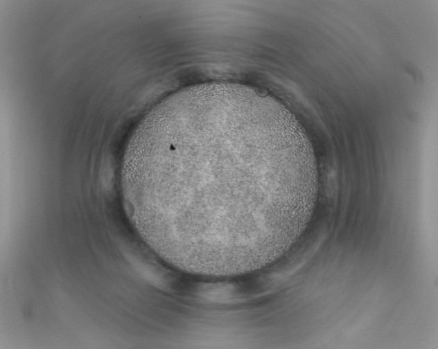 X0000112380266200909031959