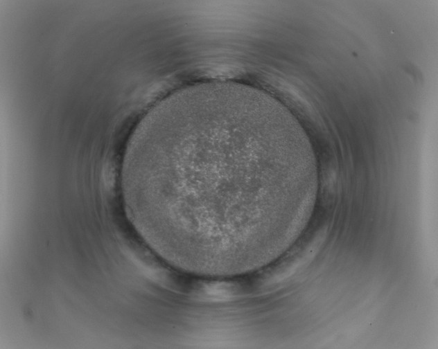 X0000112380268200909031959