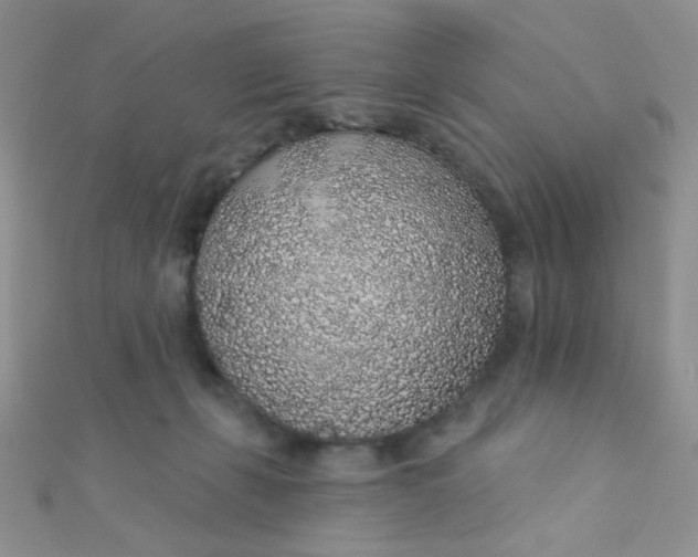 X0000112380271200909031959