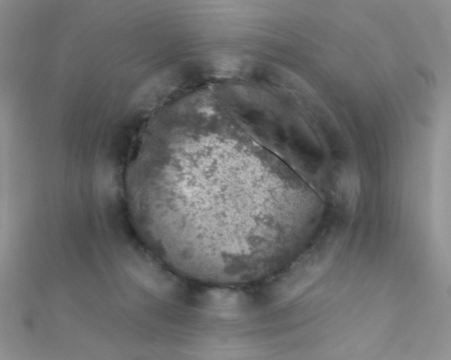 X0000112380272200909031959