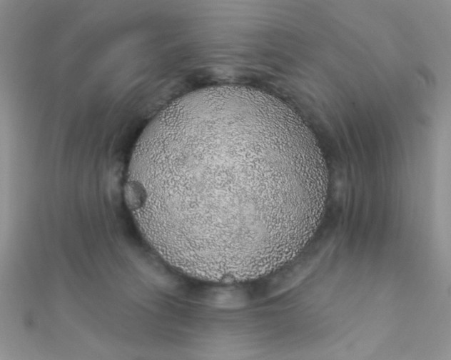 X0000112380275200909031959