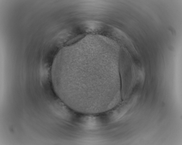 X0000112380276200909031959